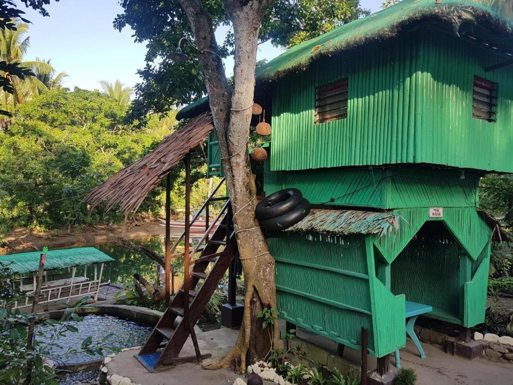 Nature Green Forest Resort Baler Εξωτερικό φωτογραφία